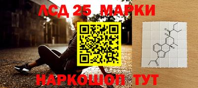 ГАЛЛЮЦИНОГЕННЫЕ ГРИБЫ Заволжье