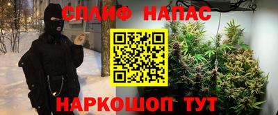 СК Заводоуковск