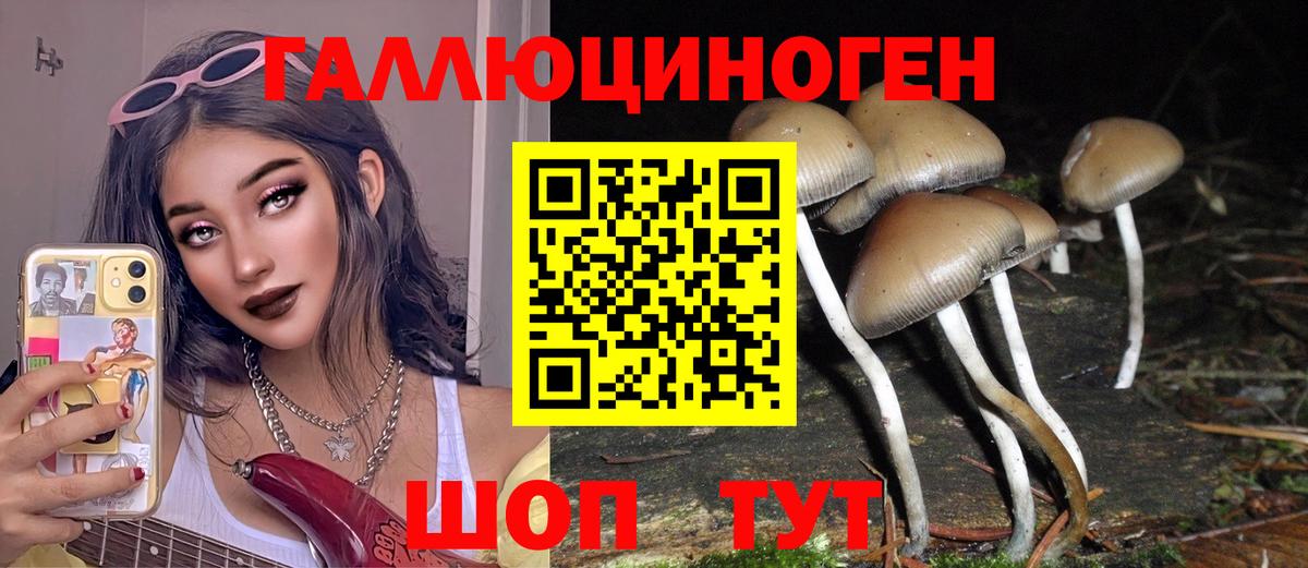 Лабинск  Псилоцибиновые грибы MAGIC MUSHROOMS  Вход с VPN 