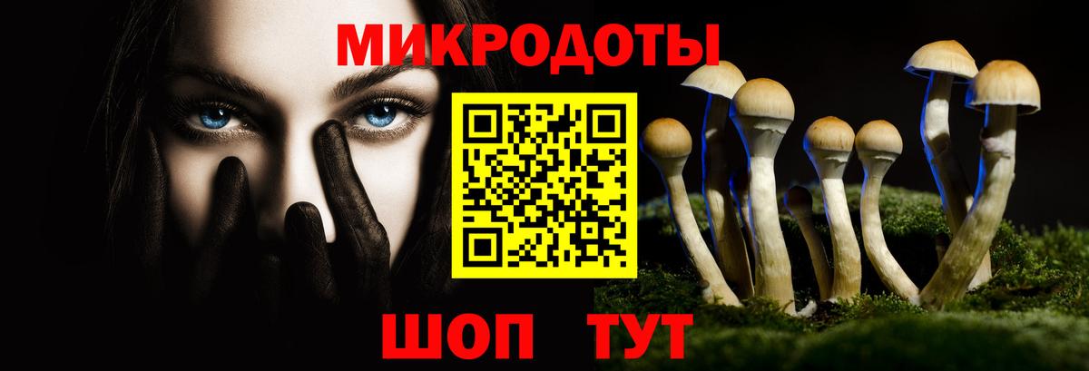 Галлюциногенные грибы прущие грибы Лабинск